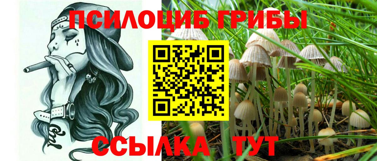 Псилоцибиновые грибы Psilocybe  Вход с VPN  Пушкино 