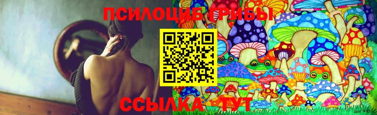 Галлюциногенные грибы MAGIC MUSHROOMS Пушкино