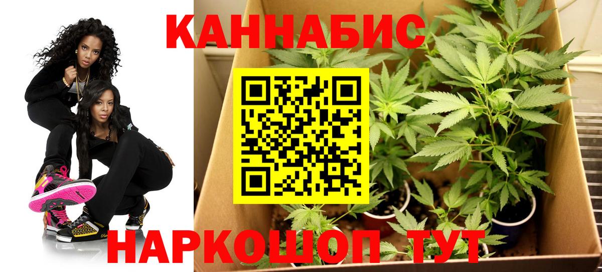 Бошки Шишки индика Пушкино